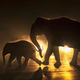 elephant NH31